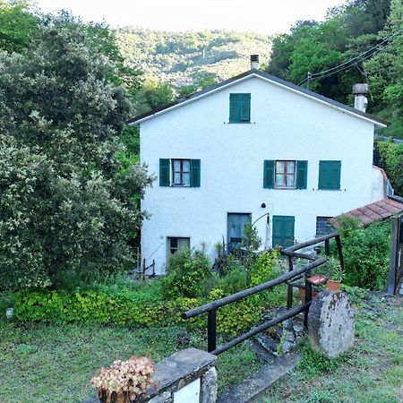 Appartamento Alessia Moneglia Bagian luar foto
